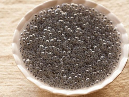 Sabja Basil Seeds 100g